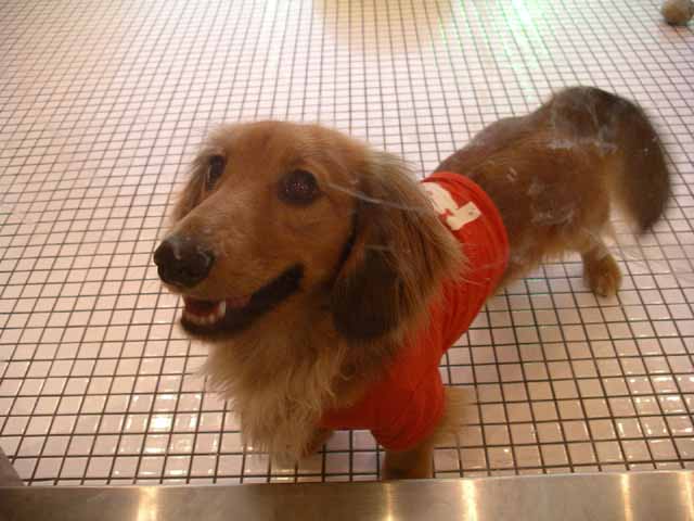 This picture is for quick loading of picture.