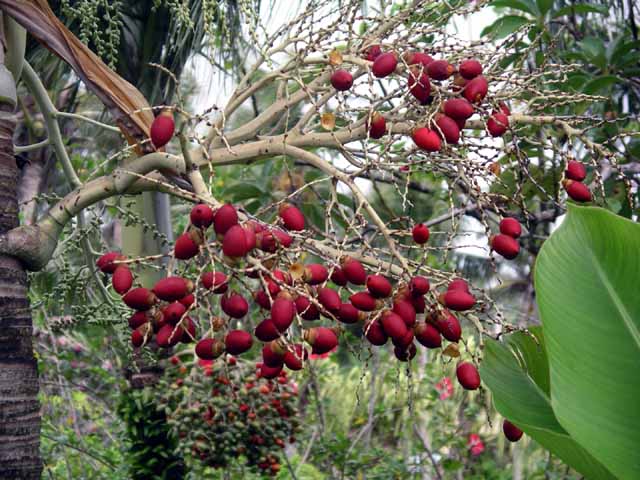 This picture is for quick loading of picture.