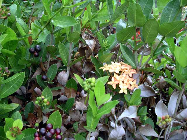 This picture is for quick loading of picture.