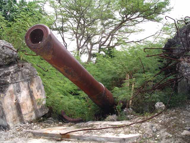 This picture is for quick loading of picture.