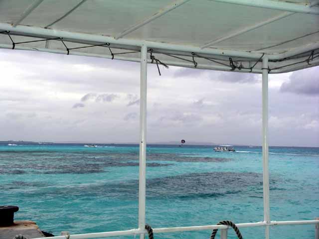 This picture is for quick loading of picture.