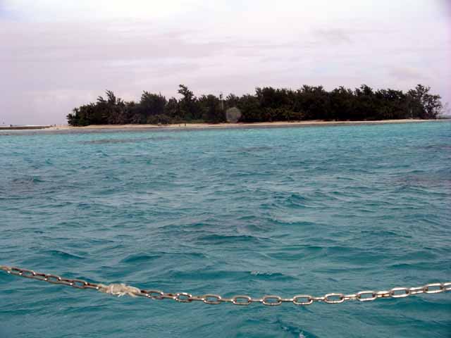 This picture is for quick loading of picture.