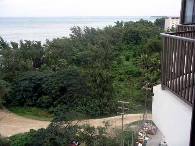 This picture is for quick loading of picture.