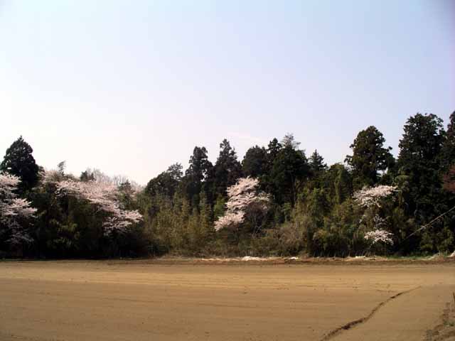 This picture is for quick loading of picture.