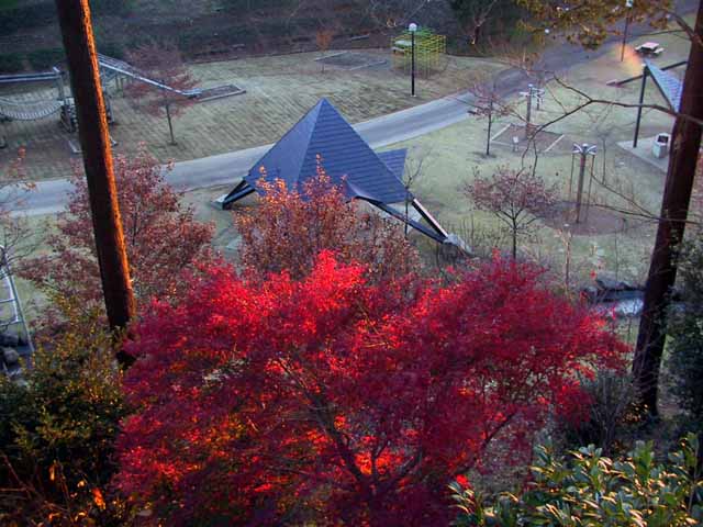 This picture is for quick loading of picture.