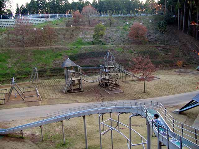 This picture is for quick loading of picture.