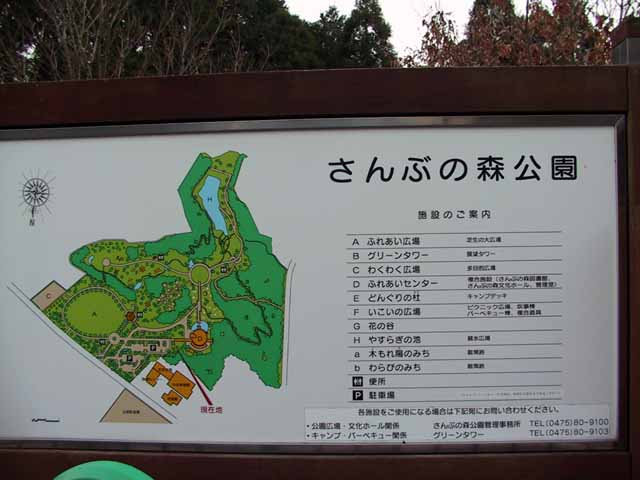 This picture is for quick loading of picture.