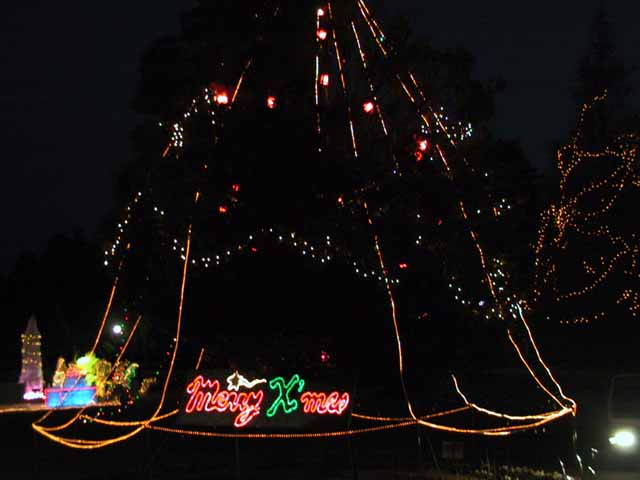 This picture is for quick loading of picture.