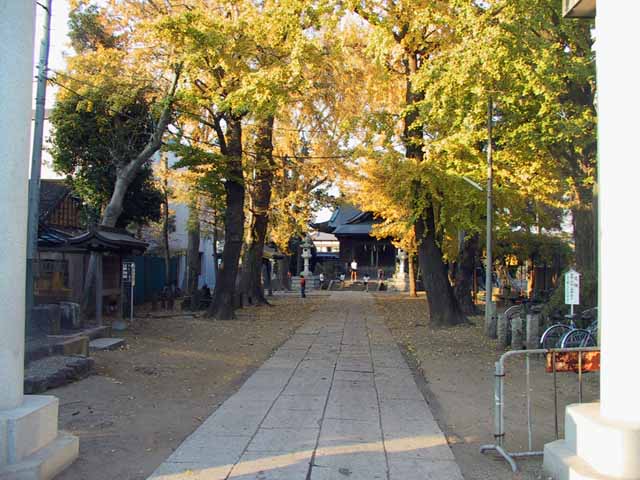 This picture is for quick loading of picture.