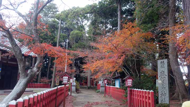 DRD08493.jpg
 ORG[720 x 405] NOW[ 720 x 405]
(�␳�O�{�����{���␳������100���ŕ\����)