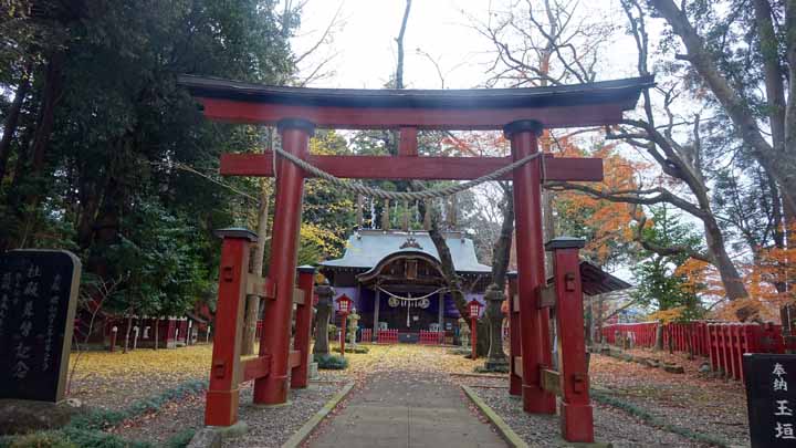 This picture is for quick loading of picture.