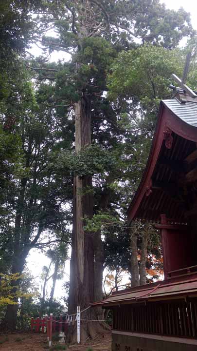 This picture is for quick loading of picture.