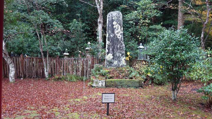 This picture is for quick loading of picture.