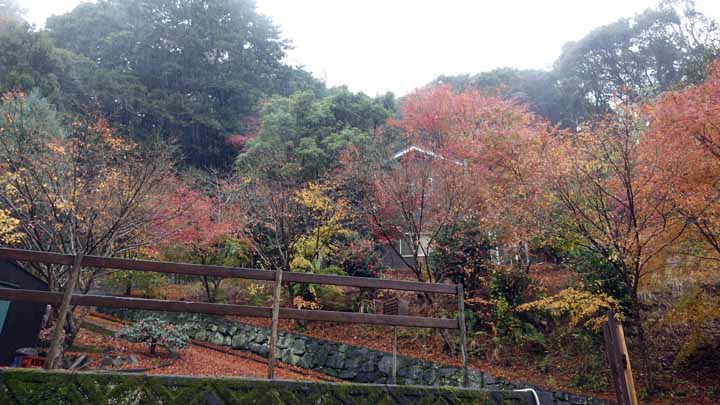 This picture is for quick loading of picture.