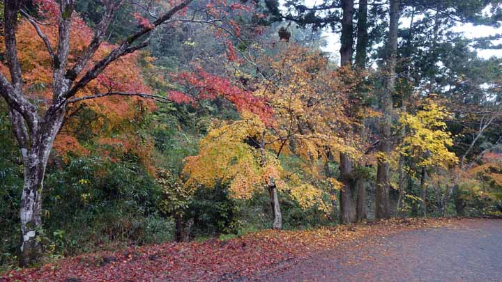 This picture is for quick loading of picture.