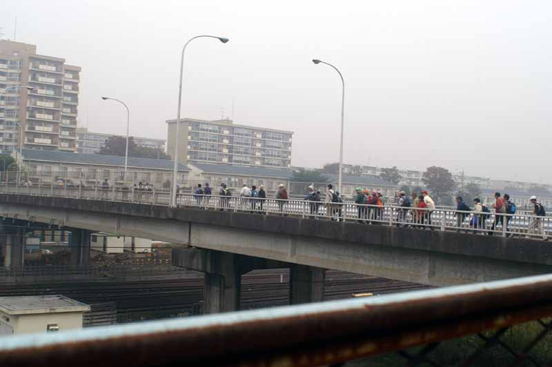 This picture is for quick loading of picture.