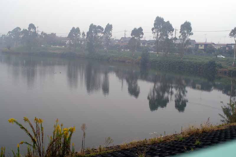 This picture is for quick loading of picture.