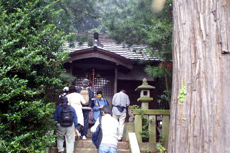 This picture is for quick loading of picture.