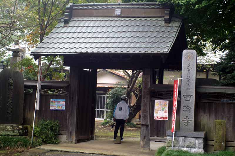 This picture is for quick loading of picture.