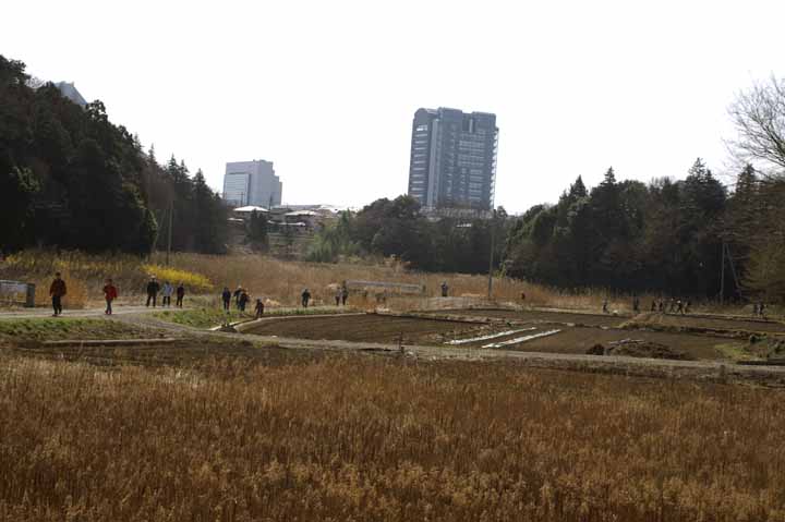 This picture is for quick loading of picture.