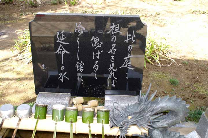 This picture is for quick loading of picture.