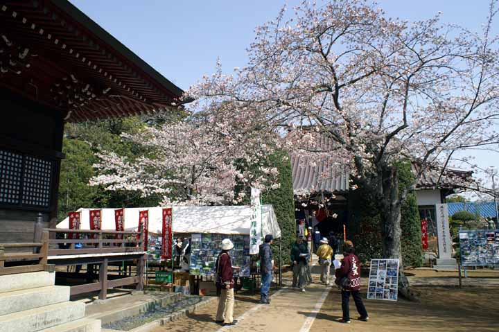 This picture is for quick loading of picture.