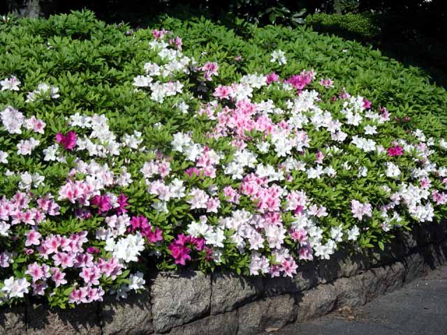 IMGP1878.jpg
 ORG[640 x 480] NOW[ 640 x 480]
(�␳�O�{�����{���␳������100���ŕ\����)