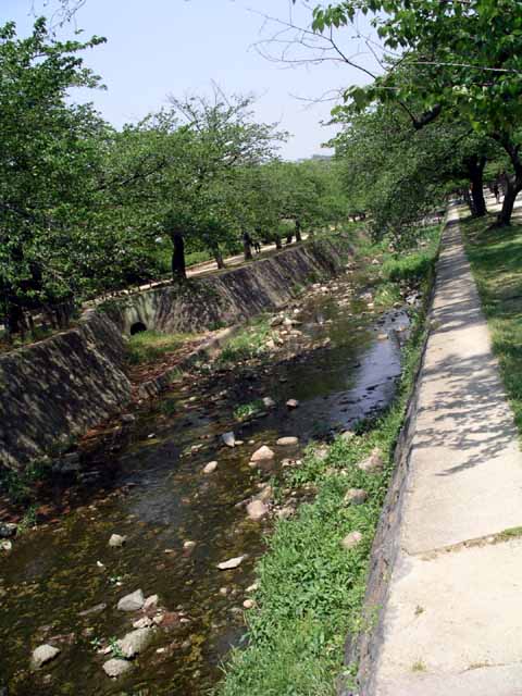 This picture is for quick loading of picture.