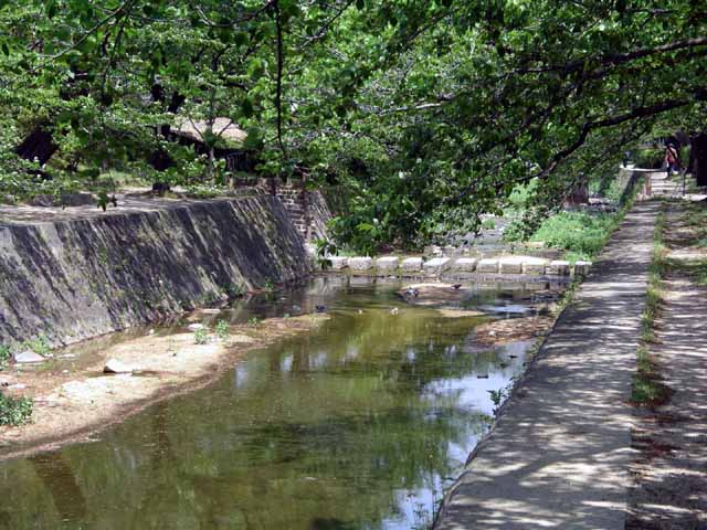 This picture is for quick loading of picture.