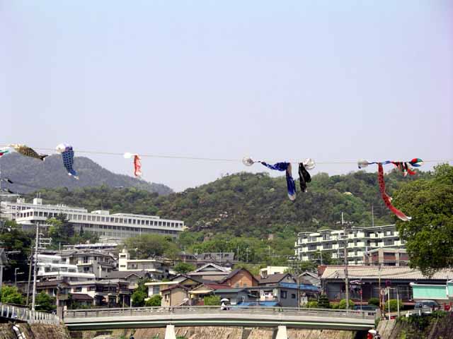 This picture is for quick loading of picture.