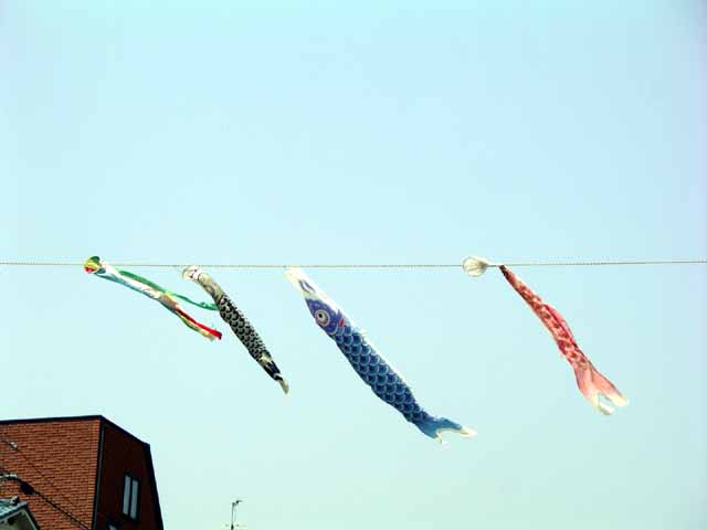 This picture is for quick loading of picture.