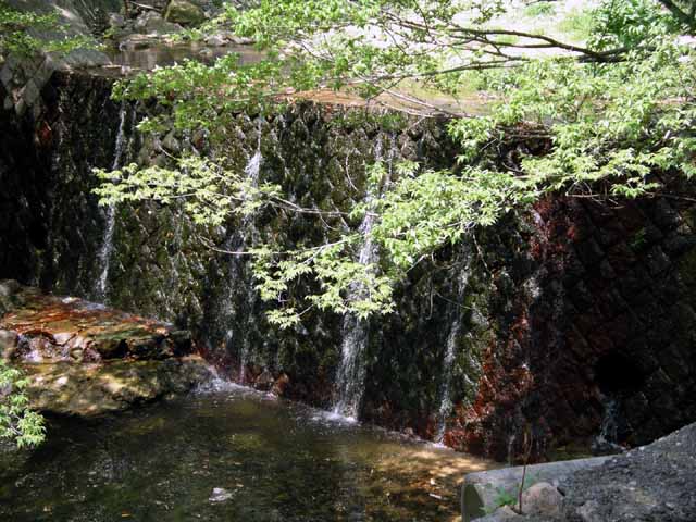 This picture is for quick loading of picture.