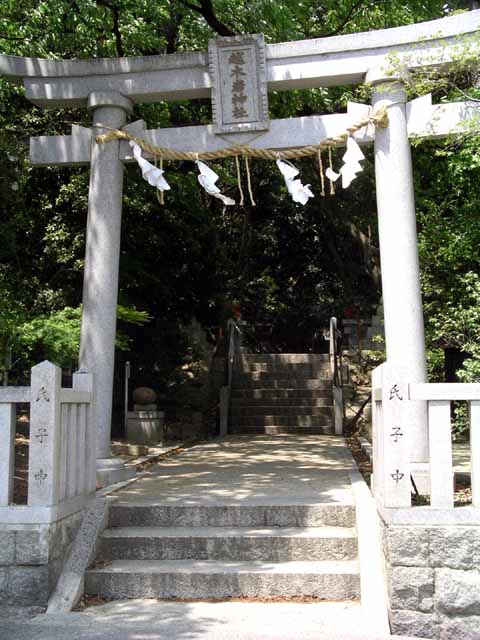 This picture is for quick loading of picture.