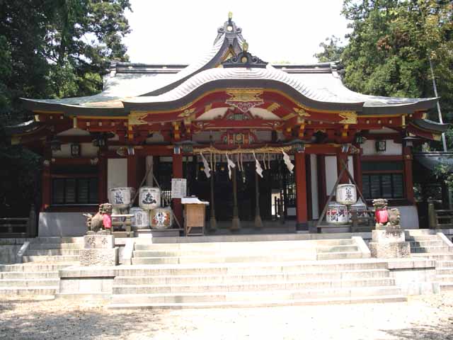 This picture is for quick loading of picture.