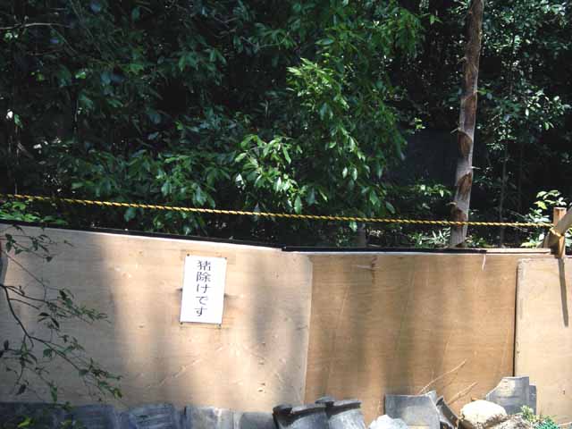 This picture is for quick loading of picture.