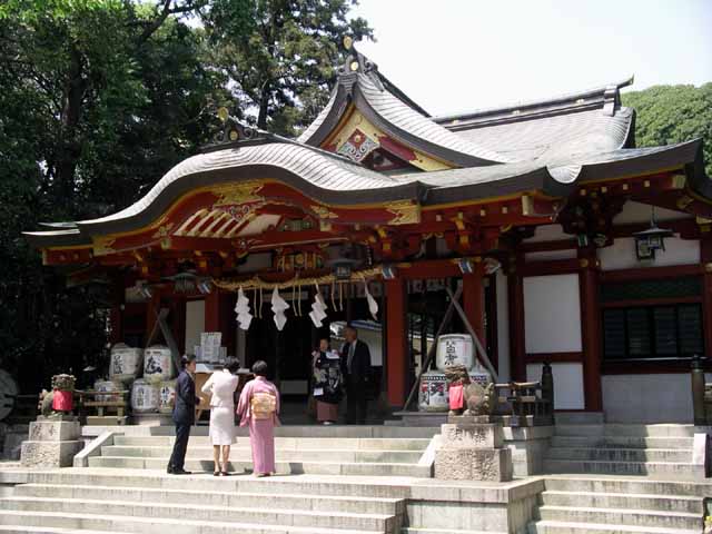 This picture is for quick loading of picture.