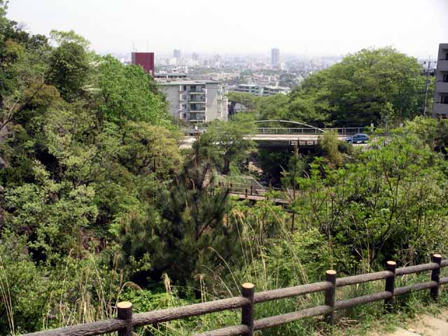 This picture is for quick loading of picture.