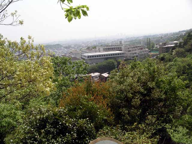 This picture is for quick loading of picture.