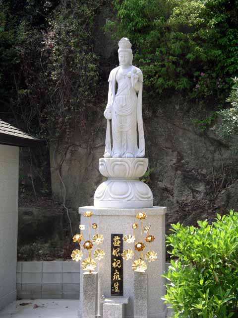 This picture is for quick loading of picture.