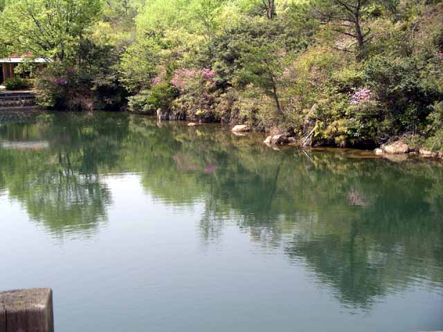 This picture is for quick loading of picture.