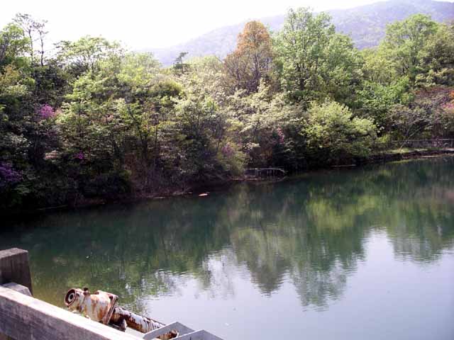 This picture is for quick loading of picture.