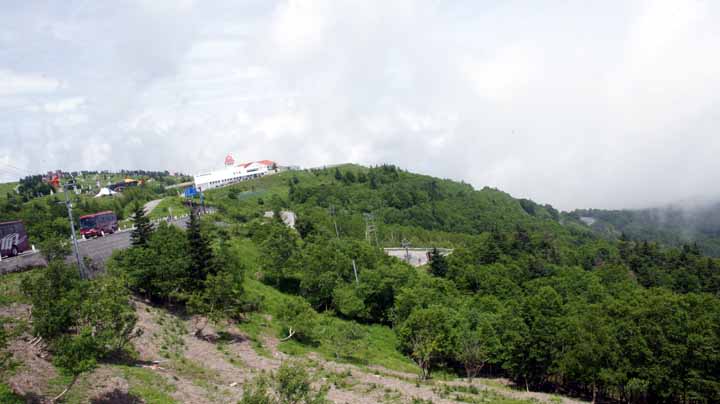 This picture is for quick loading of picture.