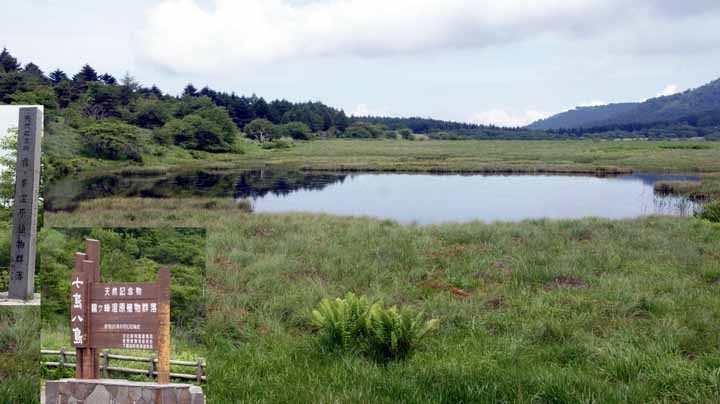 This picture is for quick loading of picture.