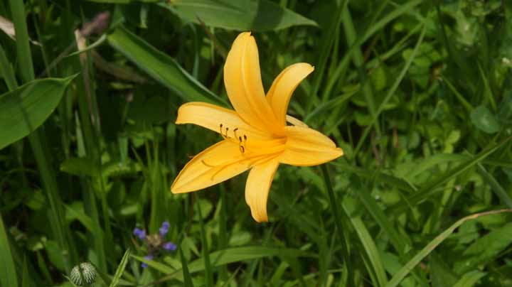 This picture is for quick loading of picture.