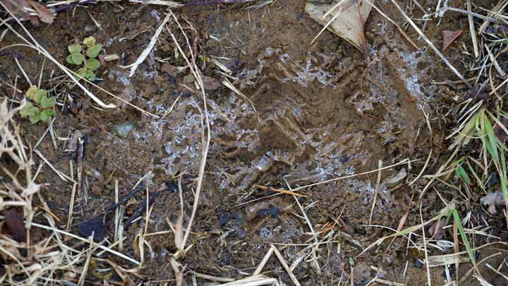 This picture is for quick loading of picture.