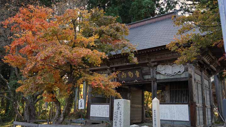 This picture is for quick loading of picture.