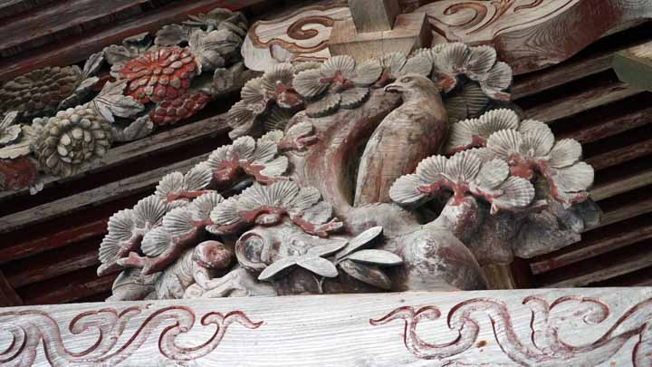 This picture is for quick loading of picture.