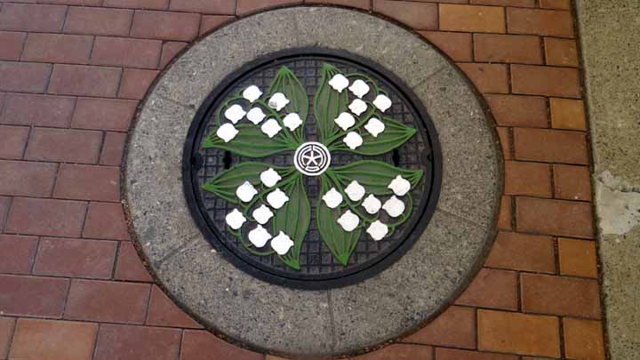 This picture is for quick loading of picture.