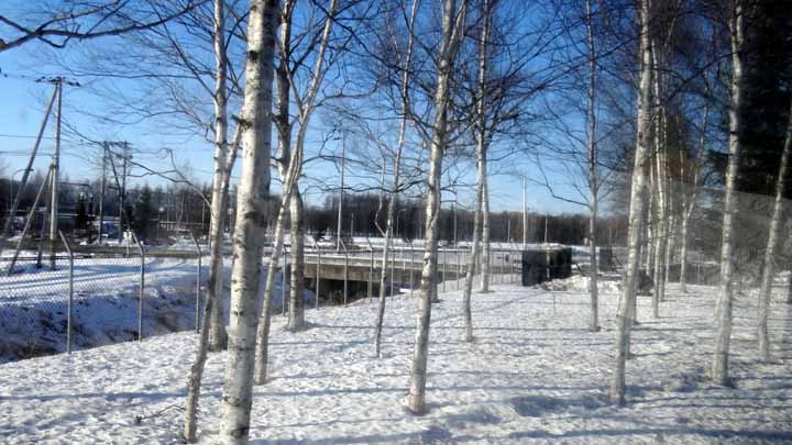 This picture is for quick loading of picture.