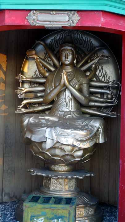 This picture is for quick loading of picture.